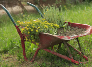 wheelbarrow for Home improvement 