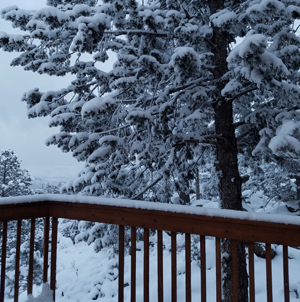 conway nh real estate snowstorm